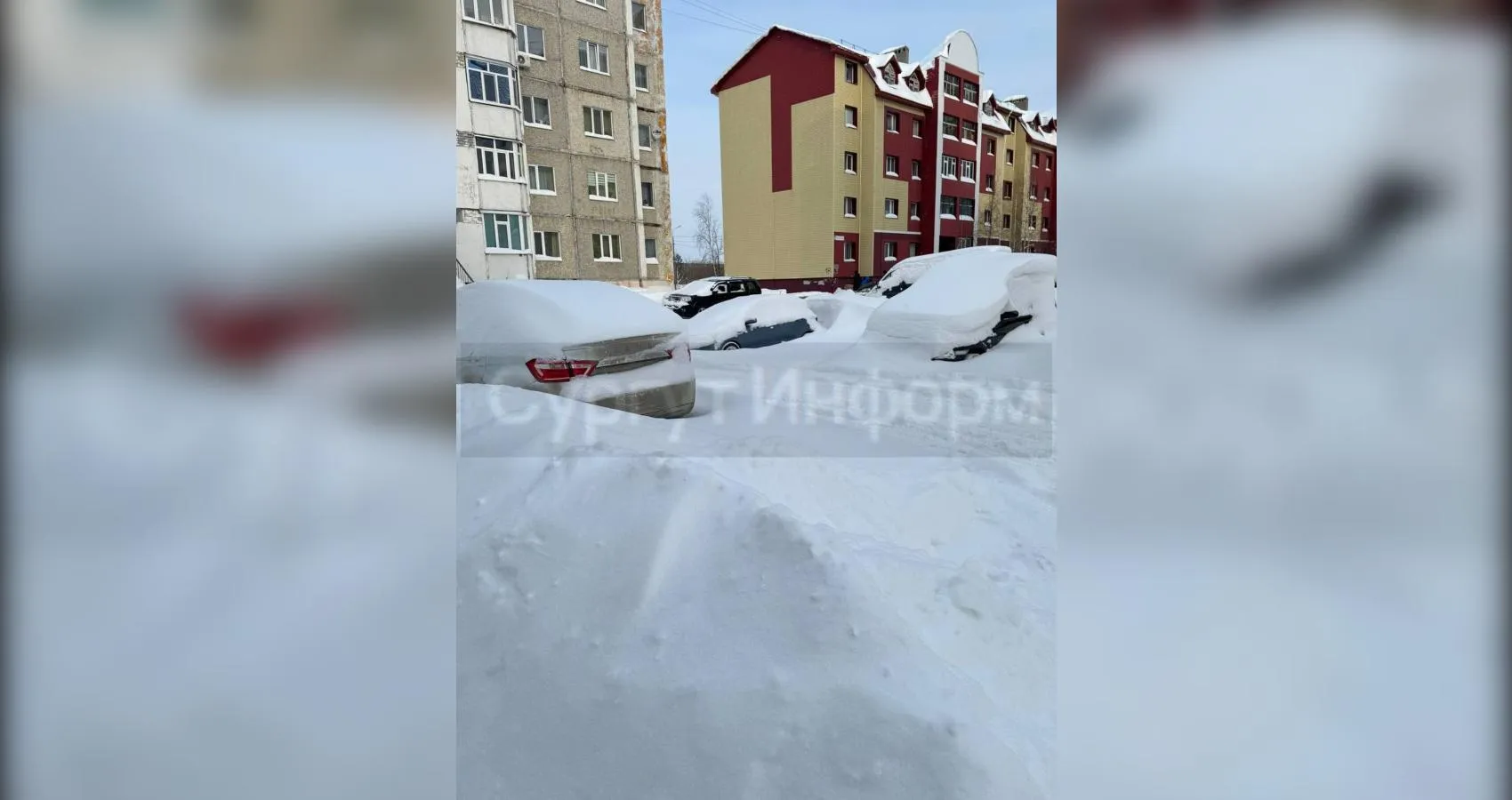 предоставлено собеседником