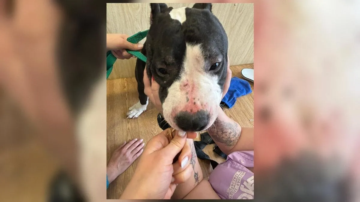 Пресс-служба прокуратуры Кемеровской области