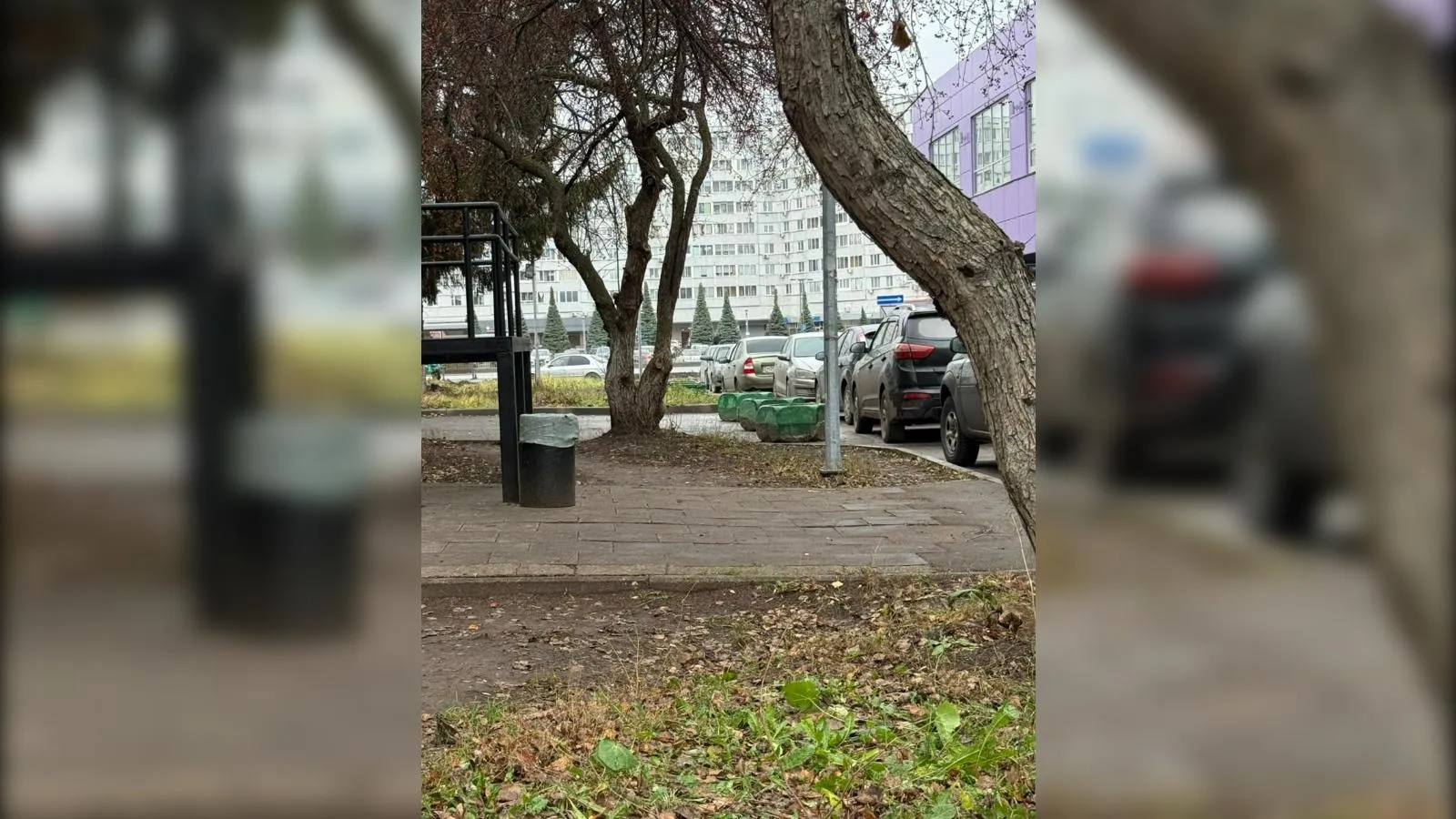 предоставлено собеседницей