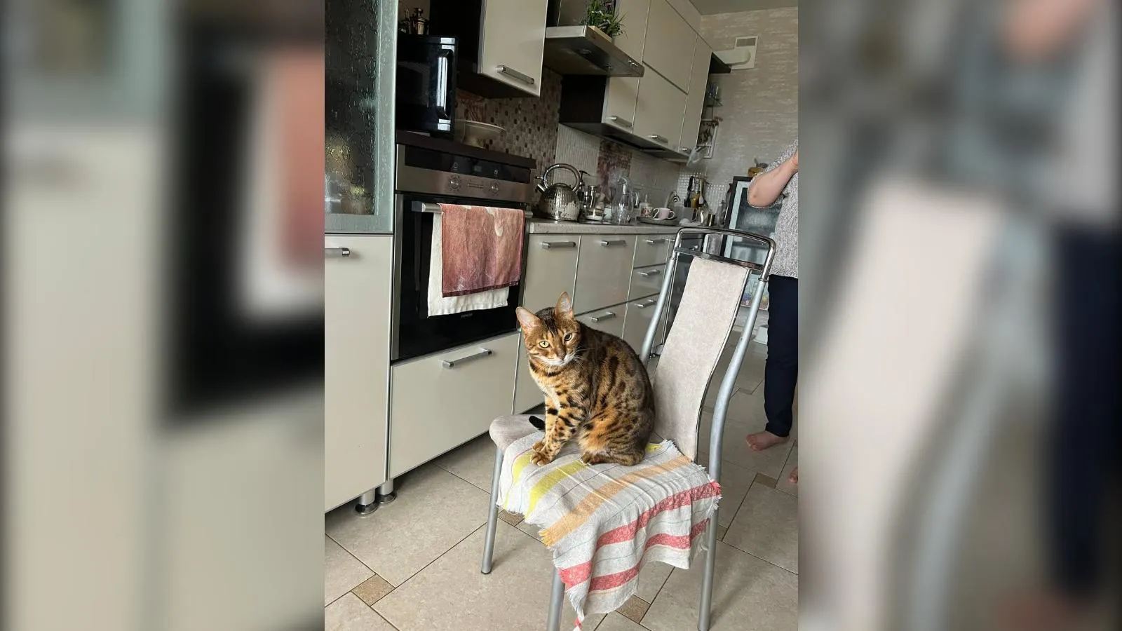 предоставлено собеседницей