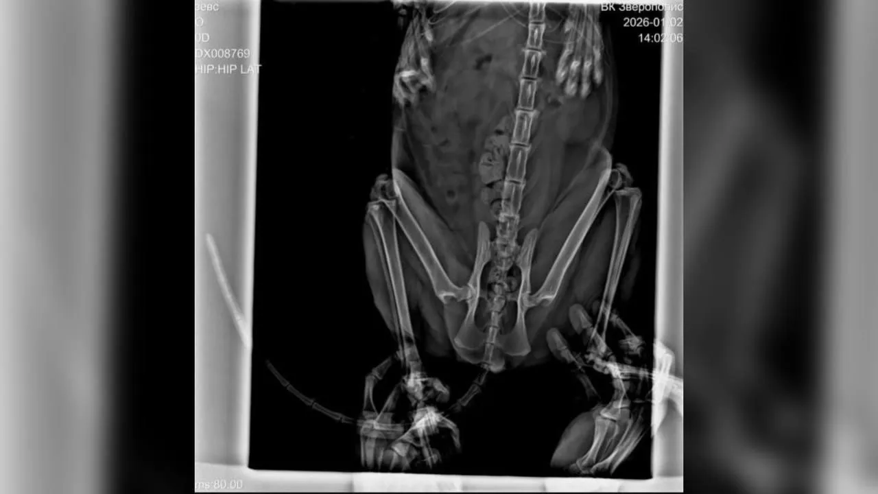 предоставлено собеседницей