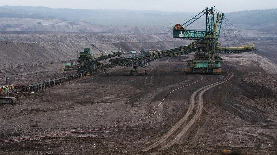 фото: Anna Uciechowska/wikimedia