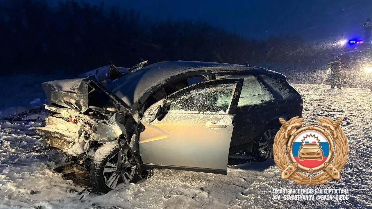 Telegram-канал Владимира Севастьянова