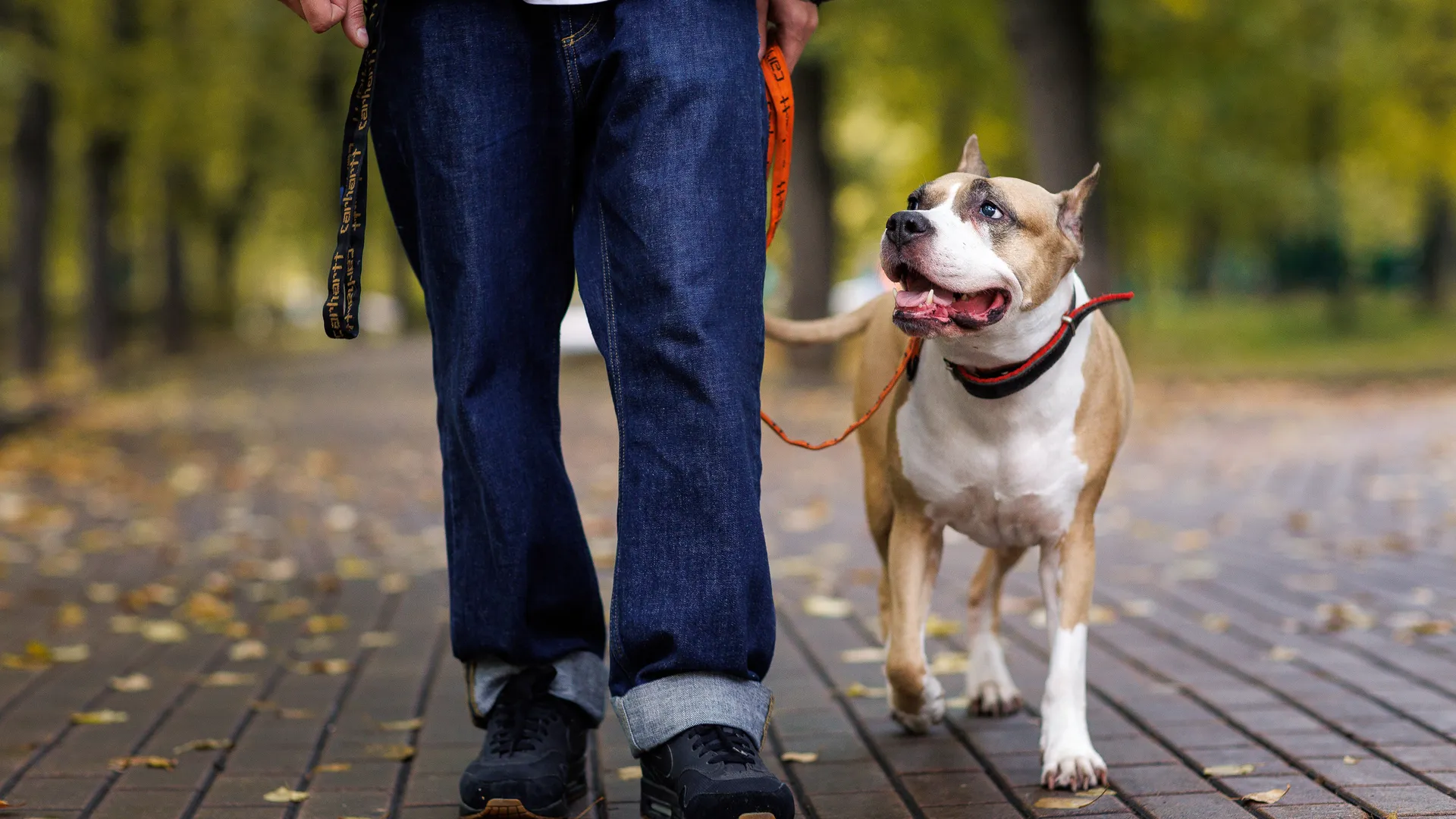 Медиасток.рф