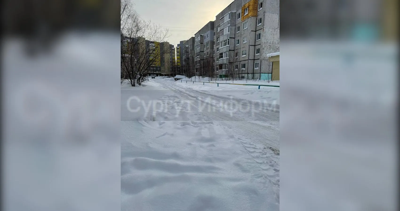 предоставлено собеседником