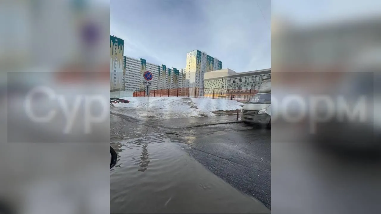 предоставлено собеседницей