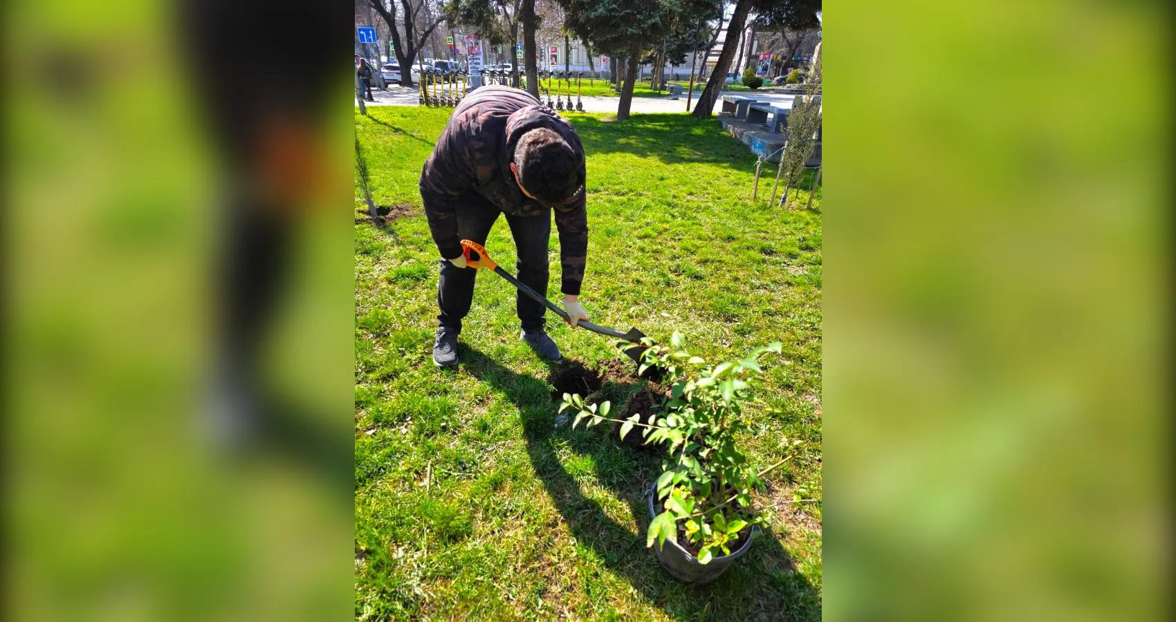 предоставлено собеседником