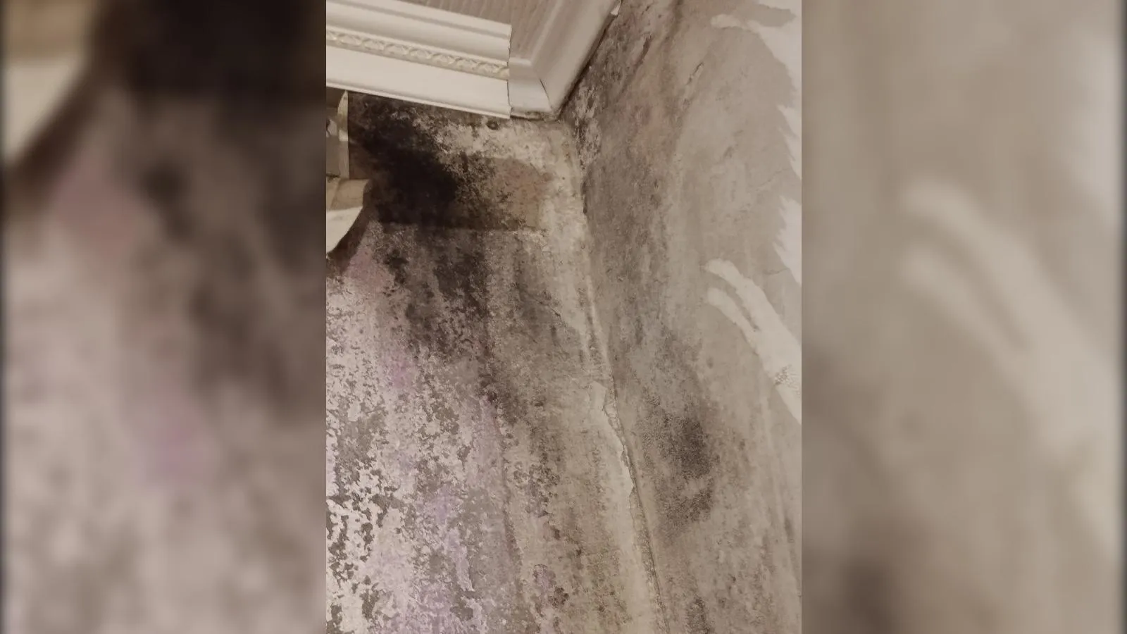 предоставлено собеседником