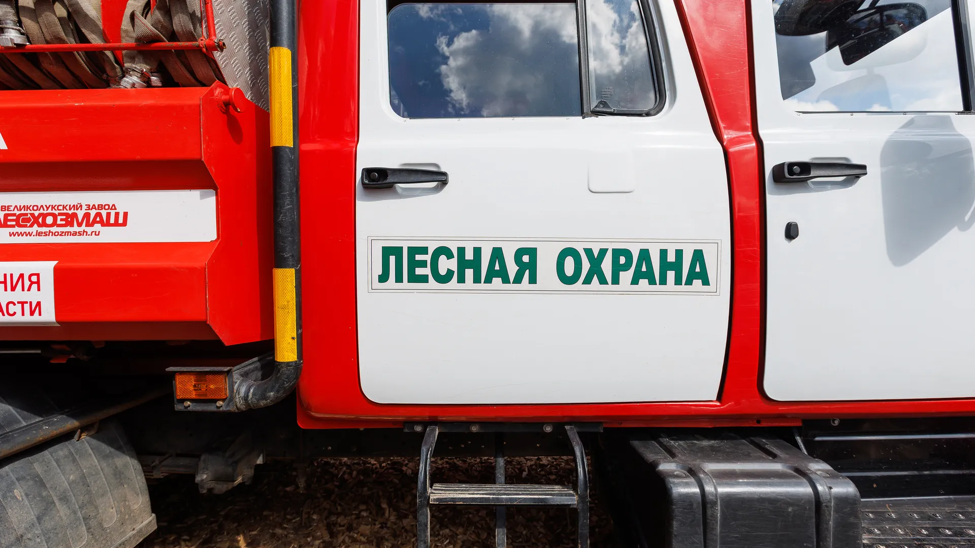 Сад Памяти в Подмосковье-2026: лесная охрана на акции по посадке деревьев в Химках