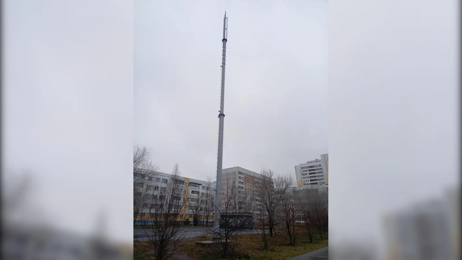 предоставлено собеседником