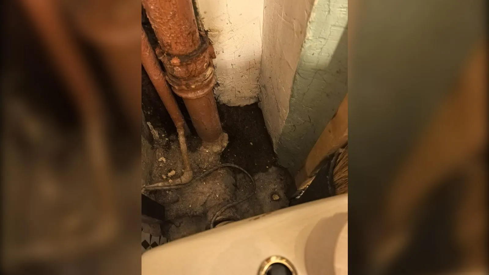 предоставлено собеседницей