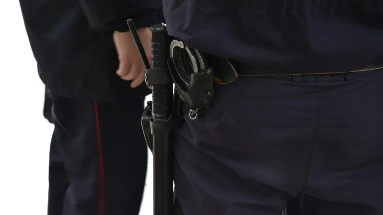 «КомсаNews»/Екатерина Волкова