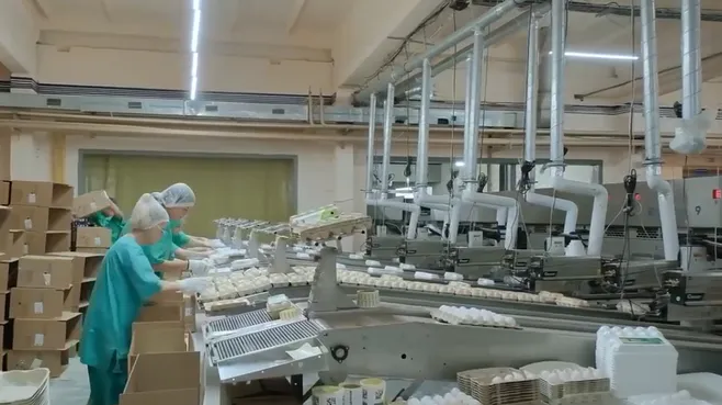 скриншот видео, губернатор Челябинской области Алексей Теслер