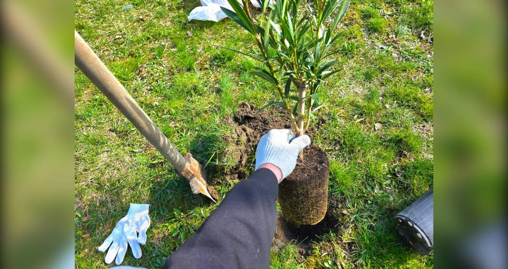 предоставлено собеседником