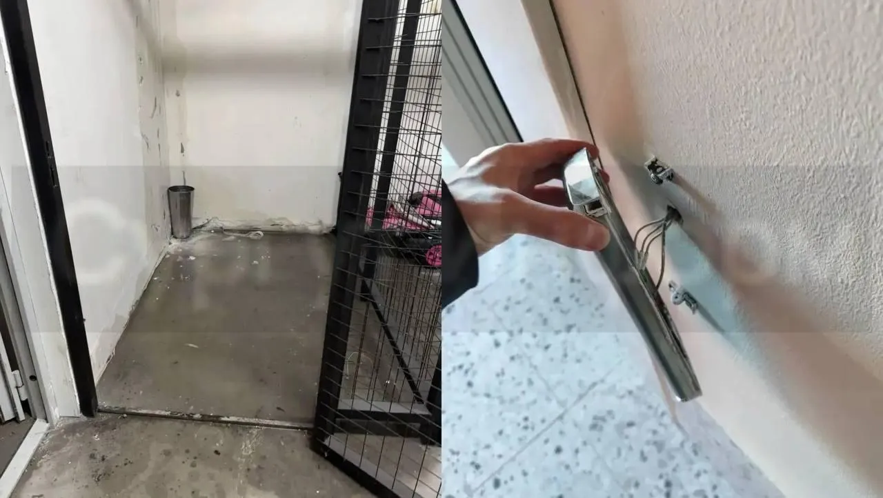 предоставлено собеседницей