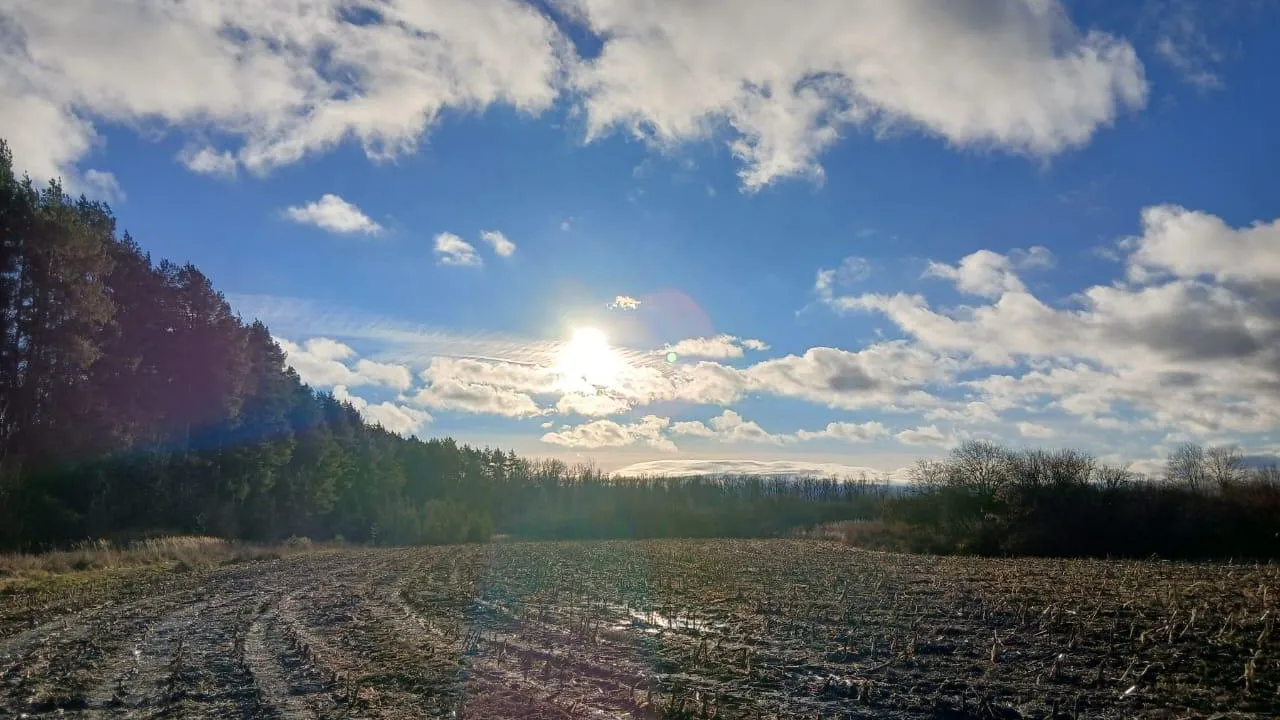 пресс-служба комитета Республики Татарстан по охране ОКН