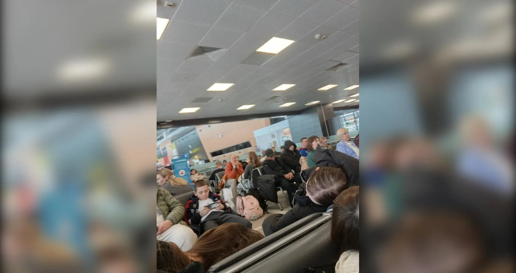 предоставлено собеседником