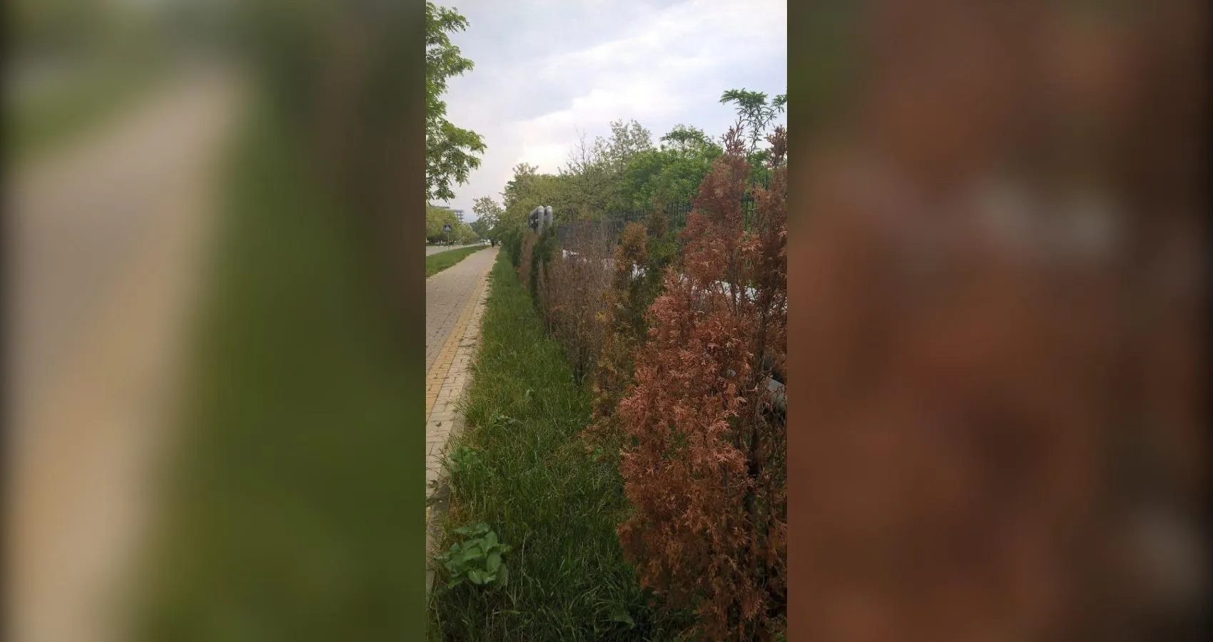 предоставлено собеседником