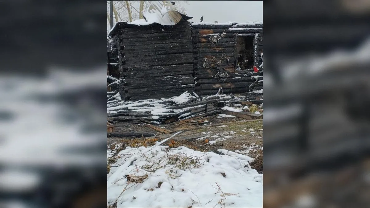 предоставлено собеседниками