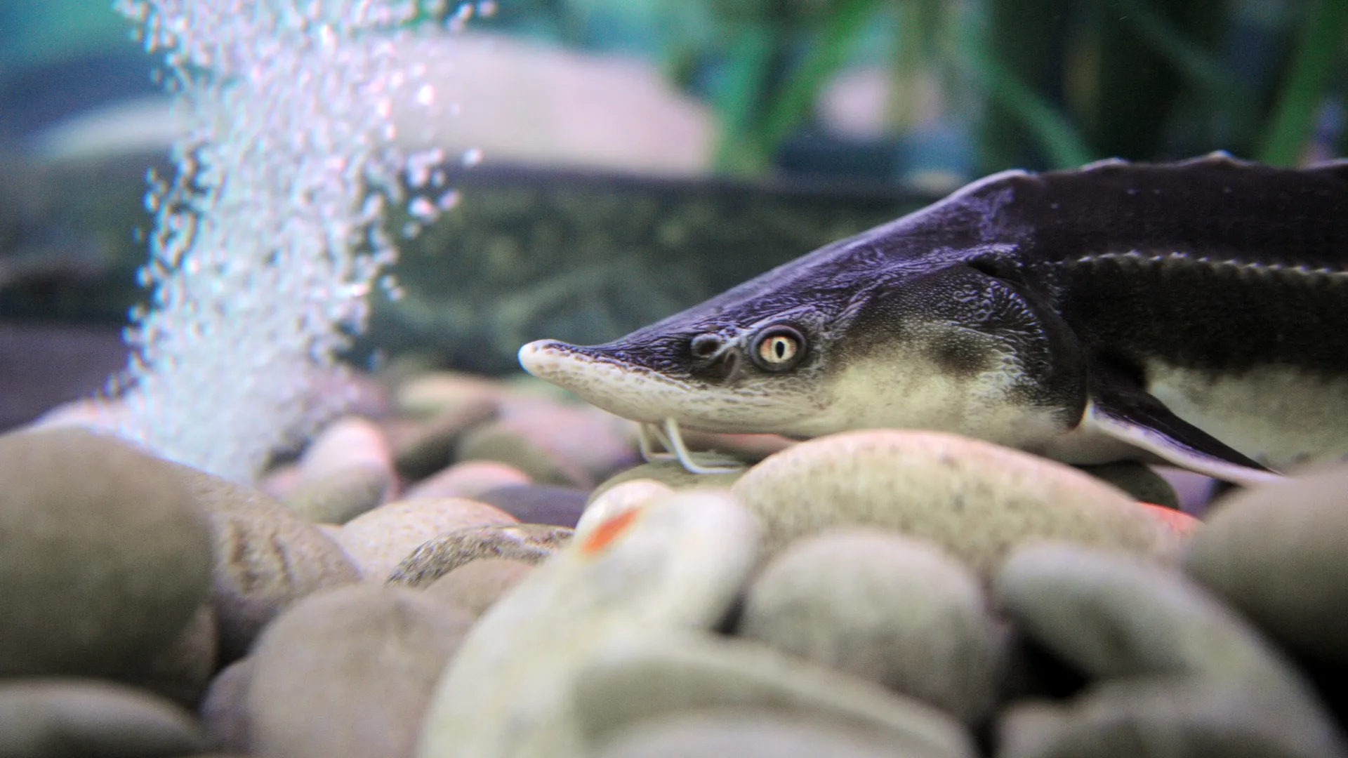 Медиасток.рф