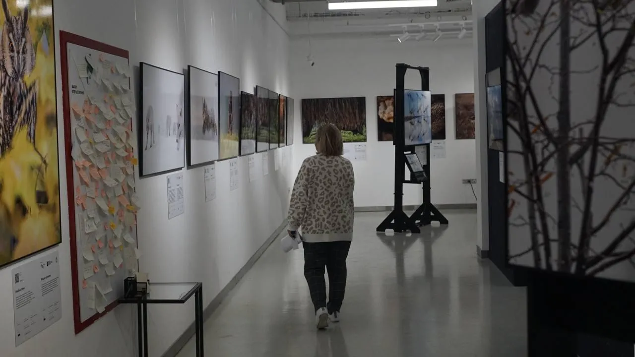 «Челны Live» / Екатерина Волкова