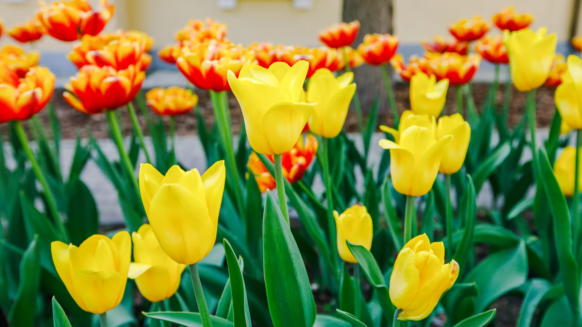 Медиасток.рф