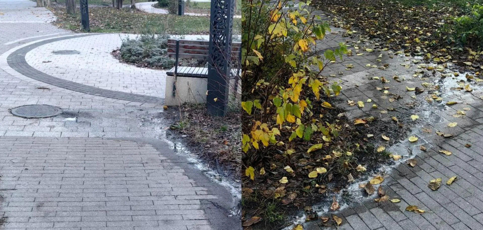 предоставлено собеседником