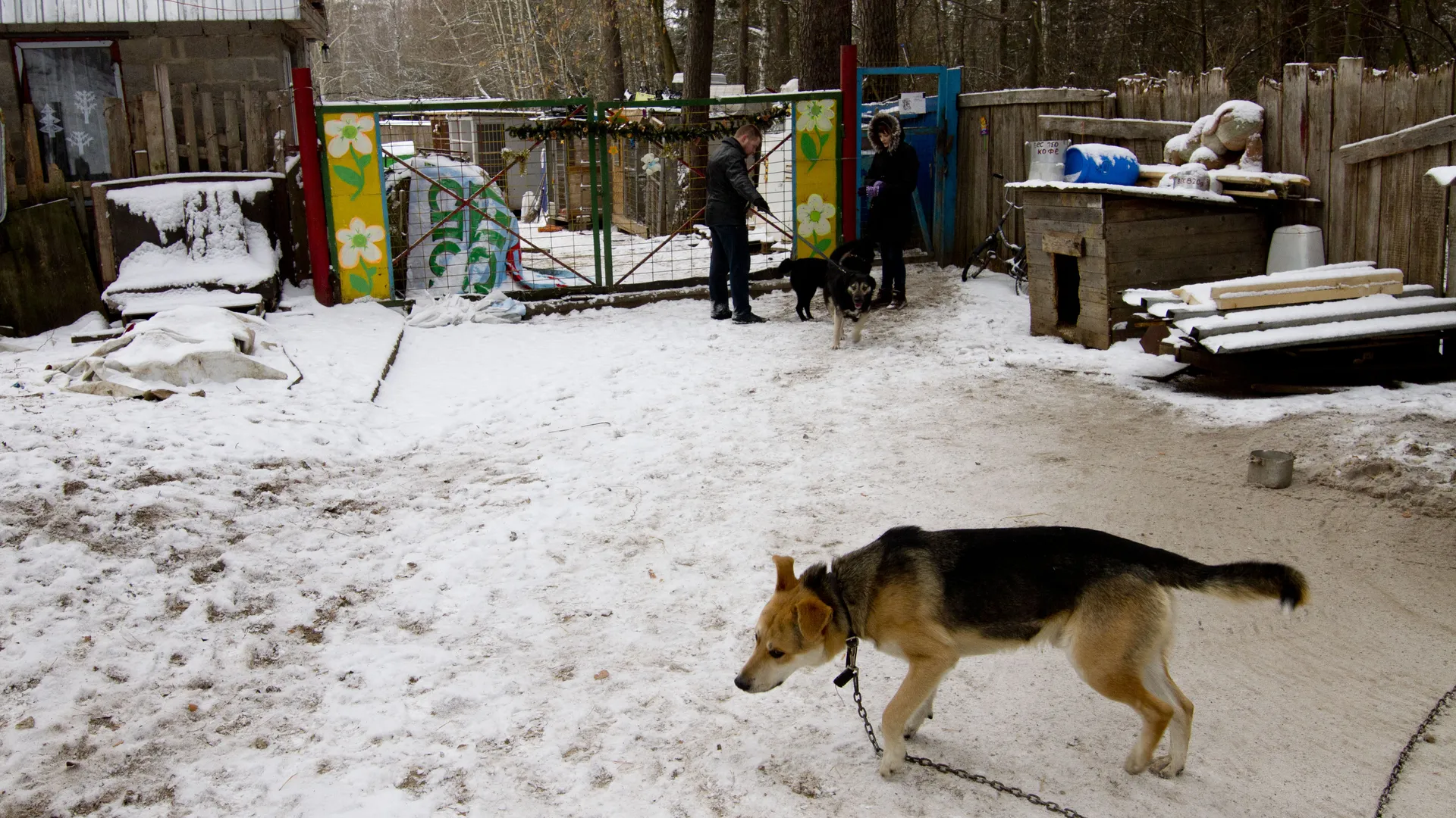 Медиасток.рф