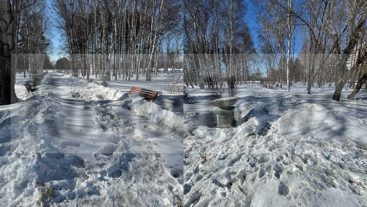 предоставлено собеседником
