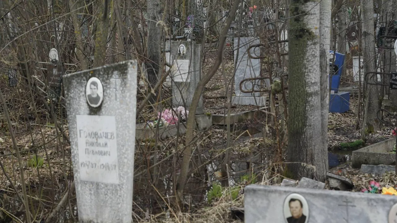 Самосыровское кладбище. «Челны Live» \ Екатерина Волкова