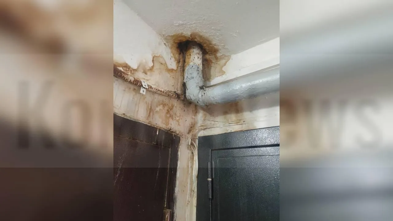 предоставлено собеседницей