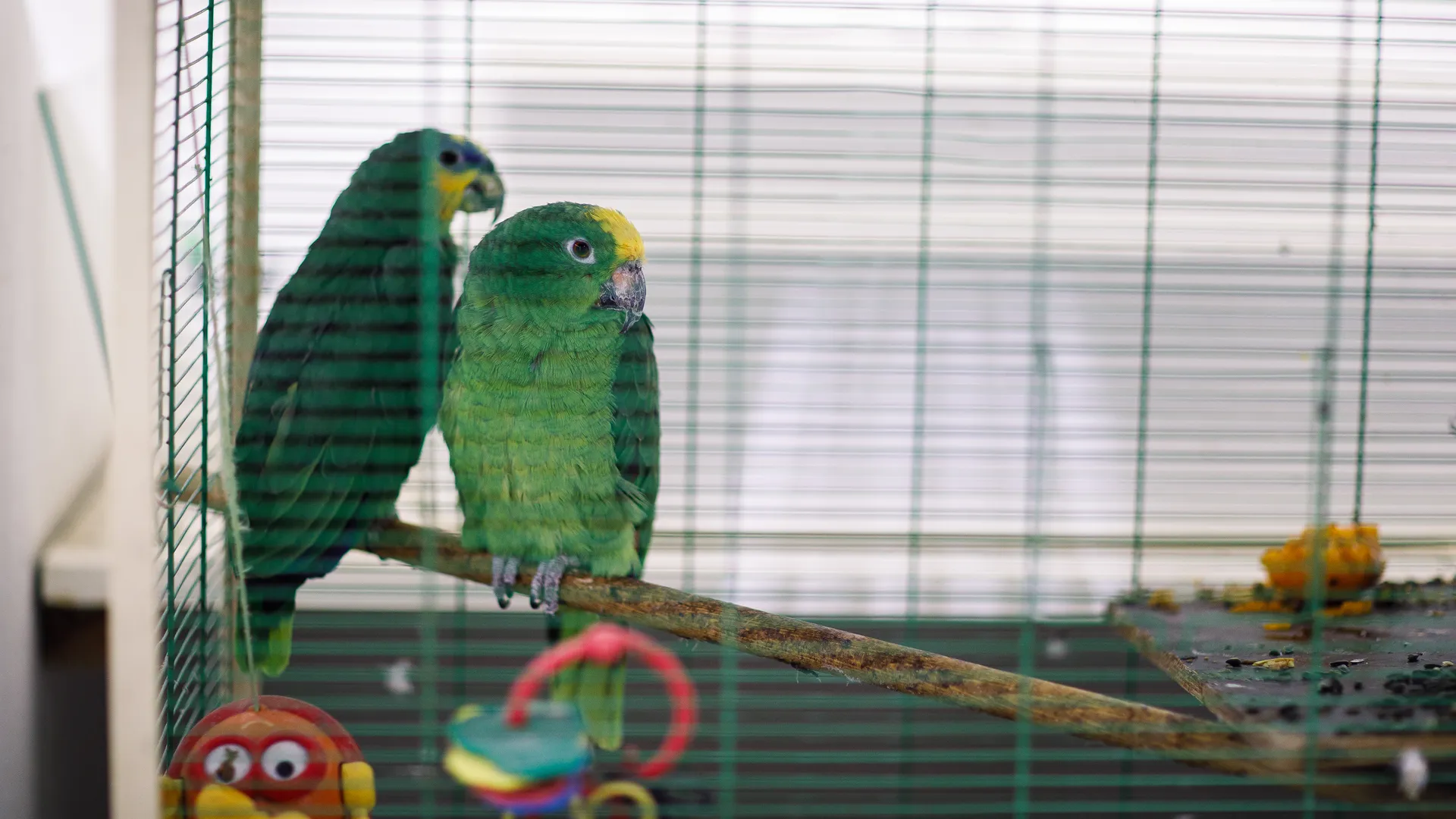 Медиасток.рф