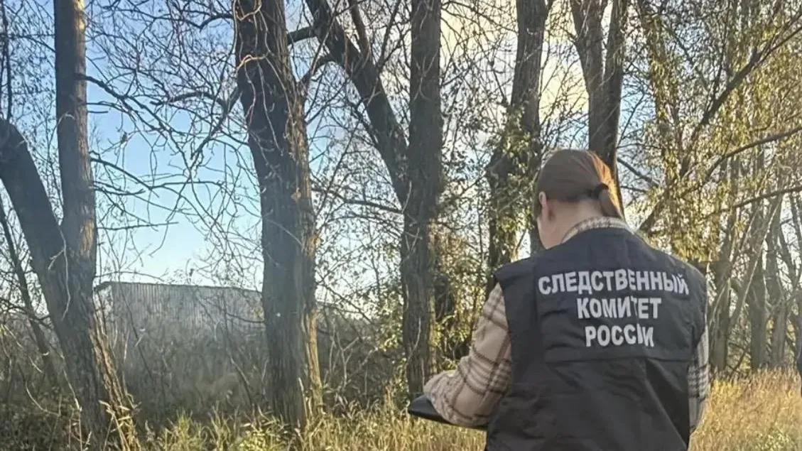 ГСУ СК РФ по Санкт-Петербургу
