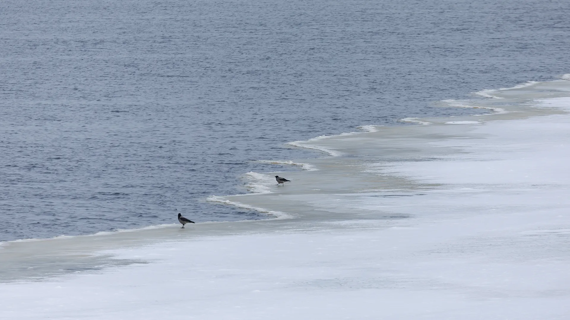 Зимний вид набережной канала имени Москвы в Дубне зимой