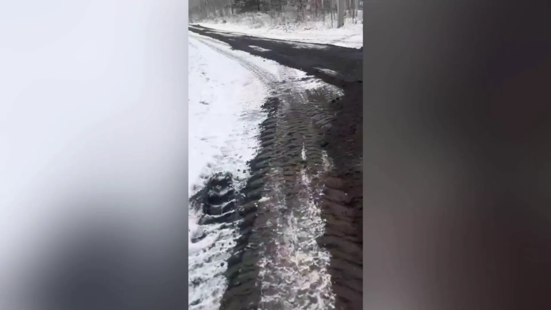 кадр видео, предоставленного собеседницей