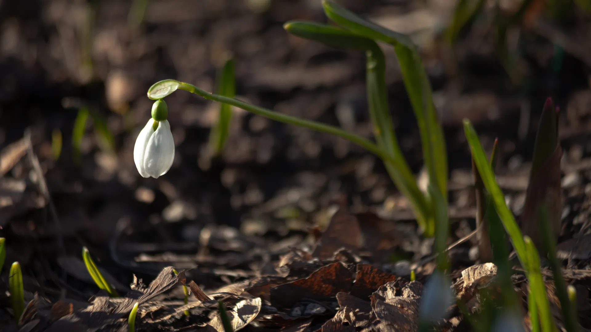 Медиасток.рф