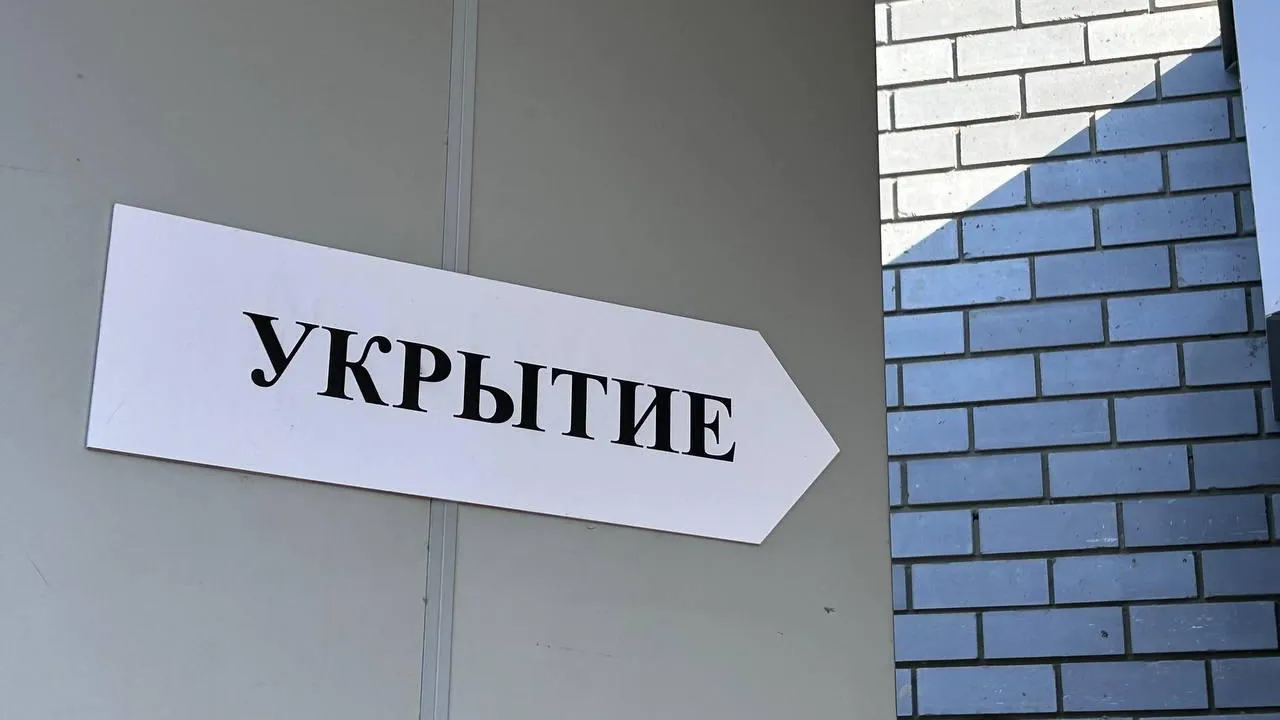 «ПроЦемес» / Екатерина Волкова