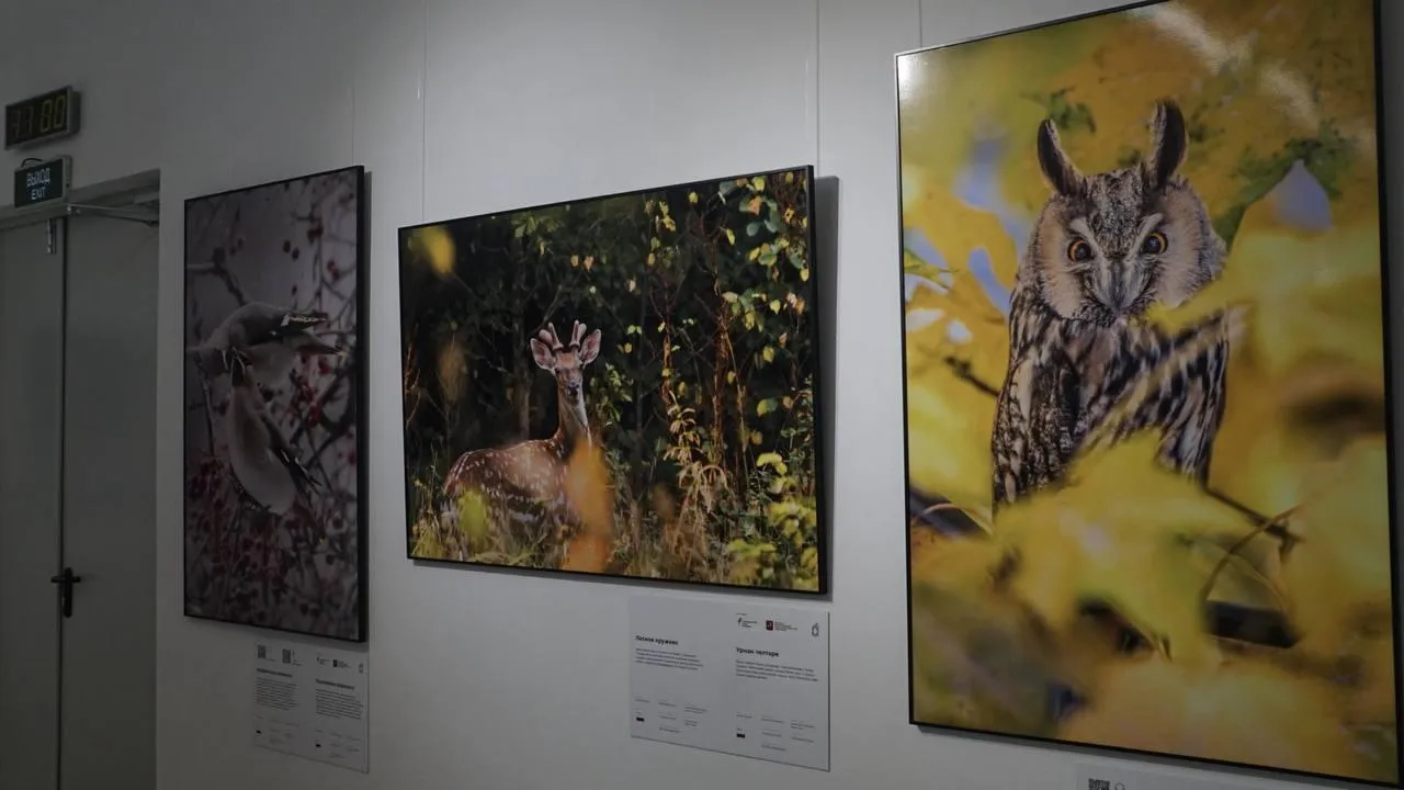 «Челны Live» / Екатерина Волкова