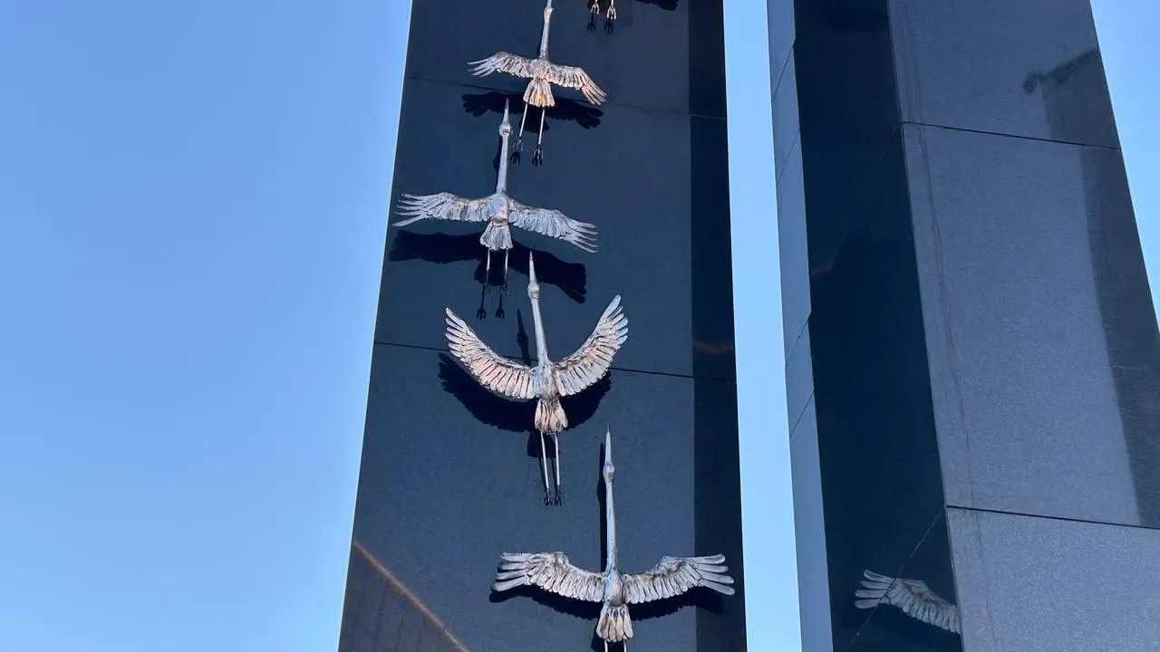 «ПроЦемес» / Екатерина Волкова