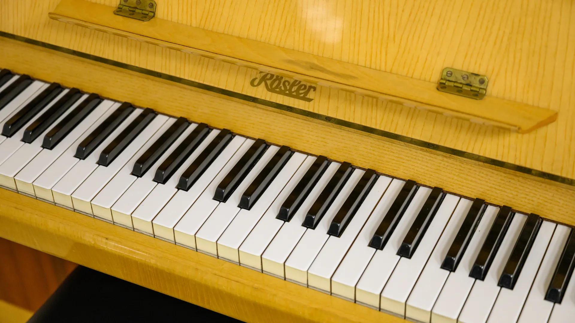 Новые музыкальные инструменты закупили для уроков музыки в детскую школу искусств №1 в Люберцах