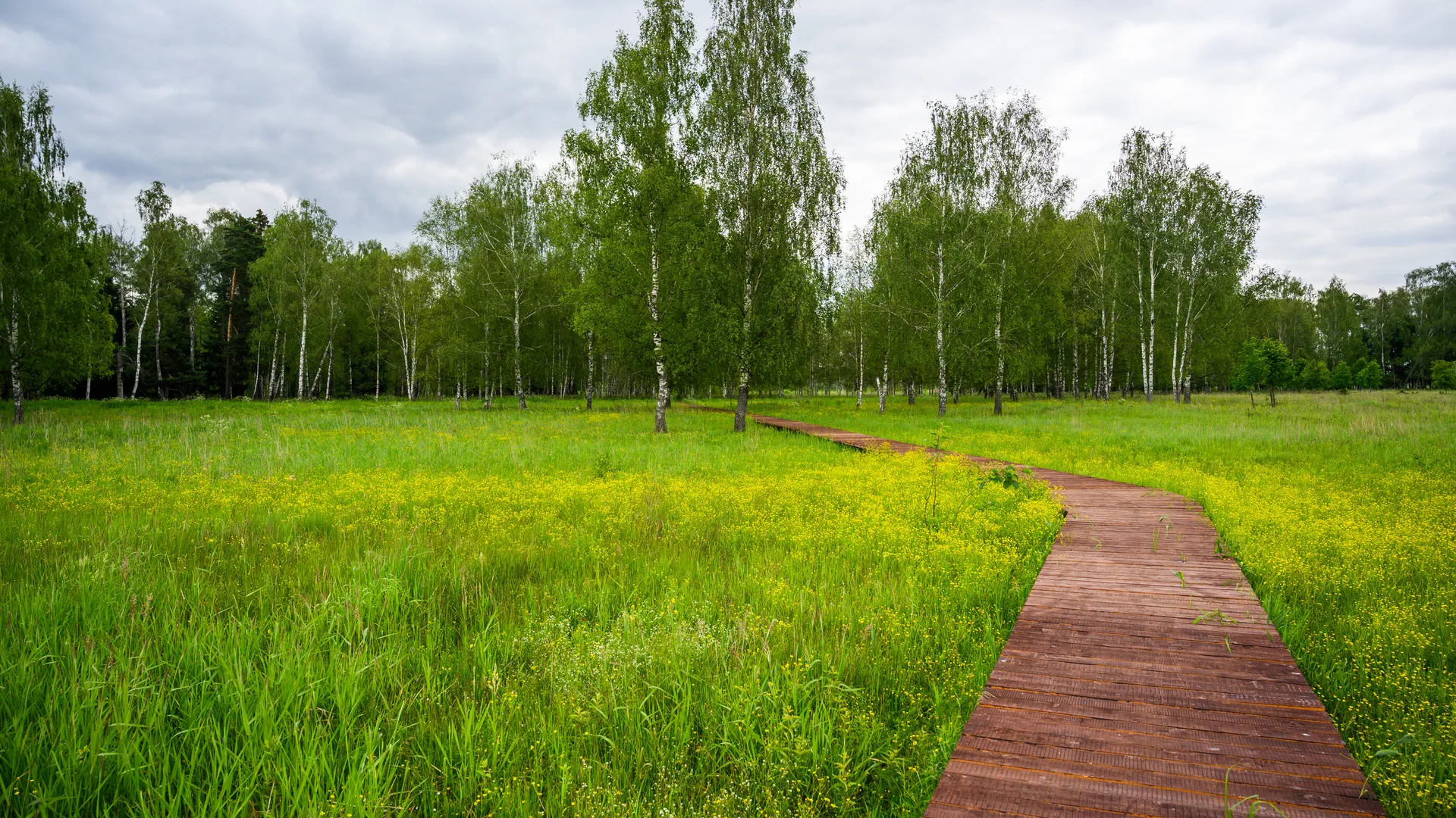 Медиасток.рф