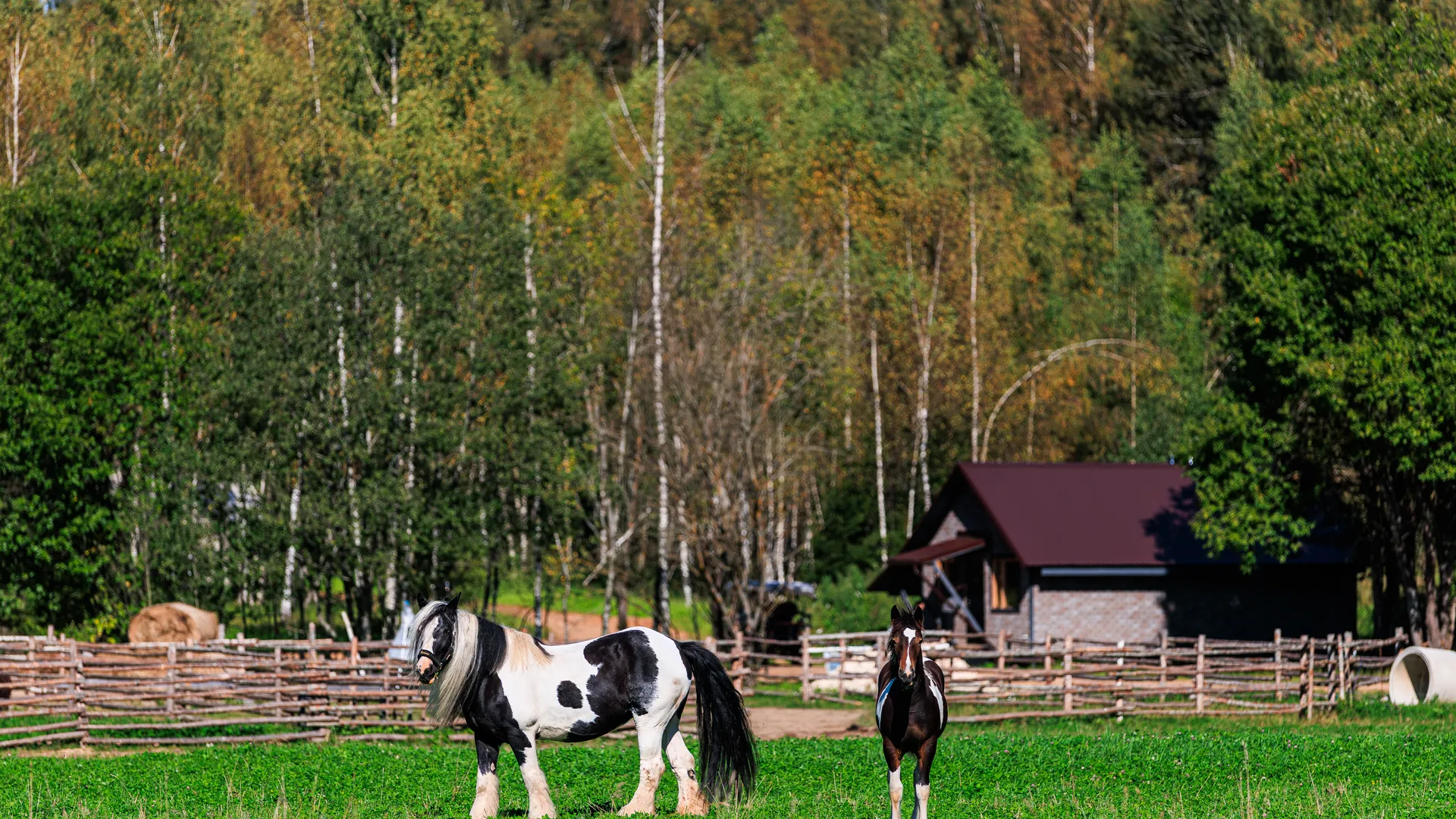 Медиасток.рф
