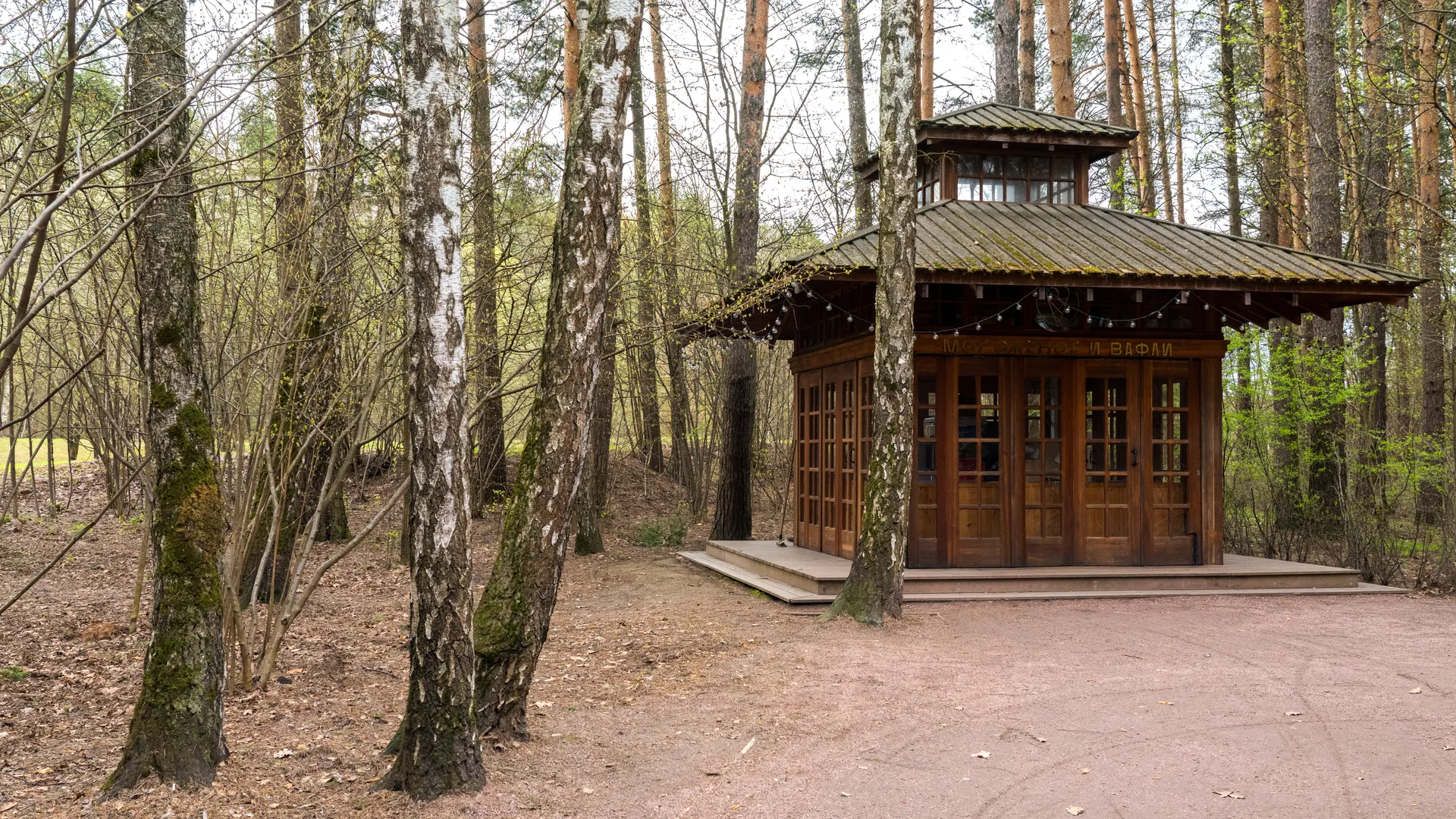Картинка