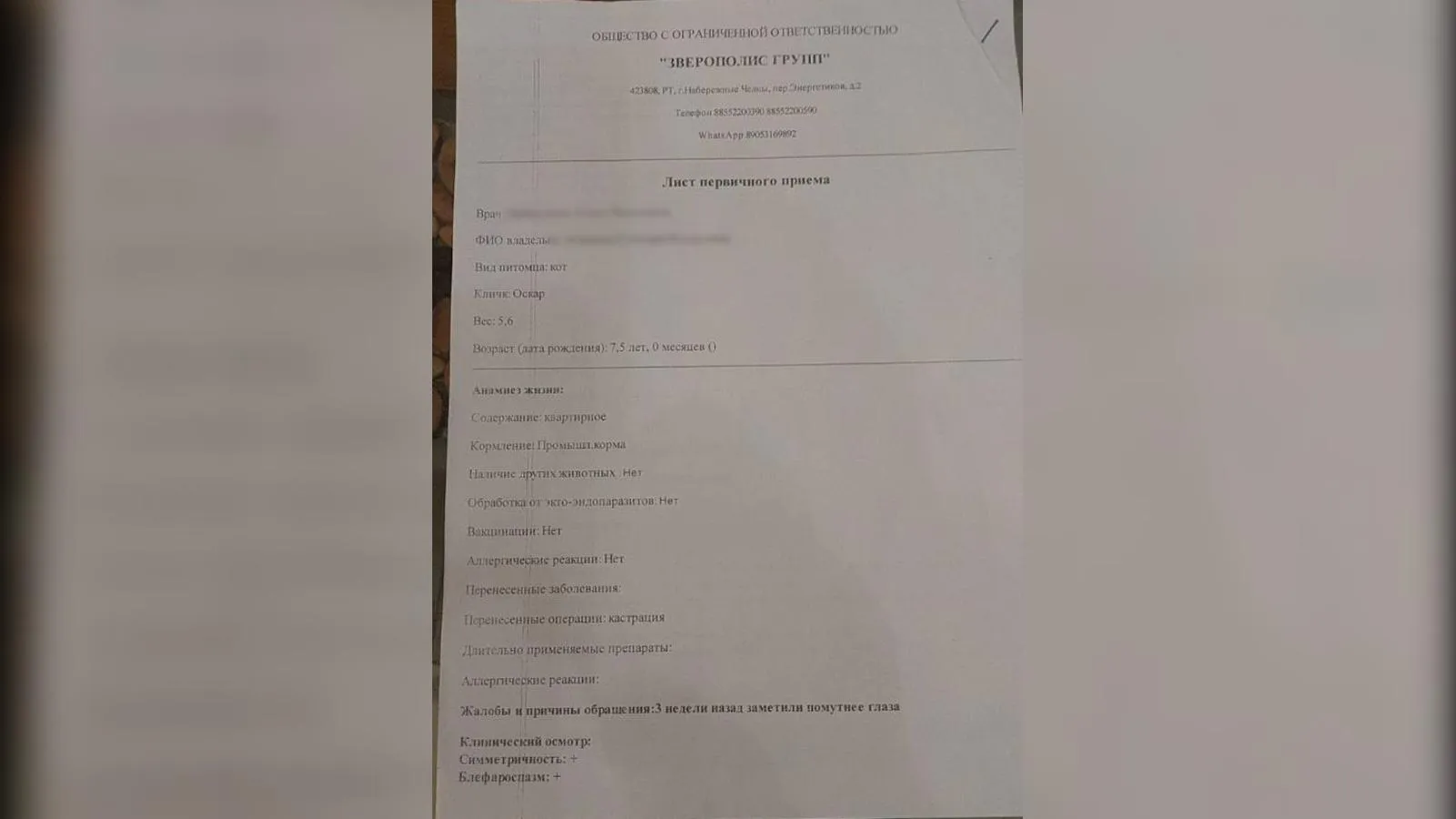 предоставлено собеседницей