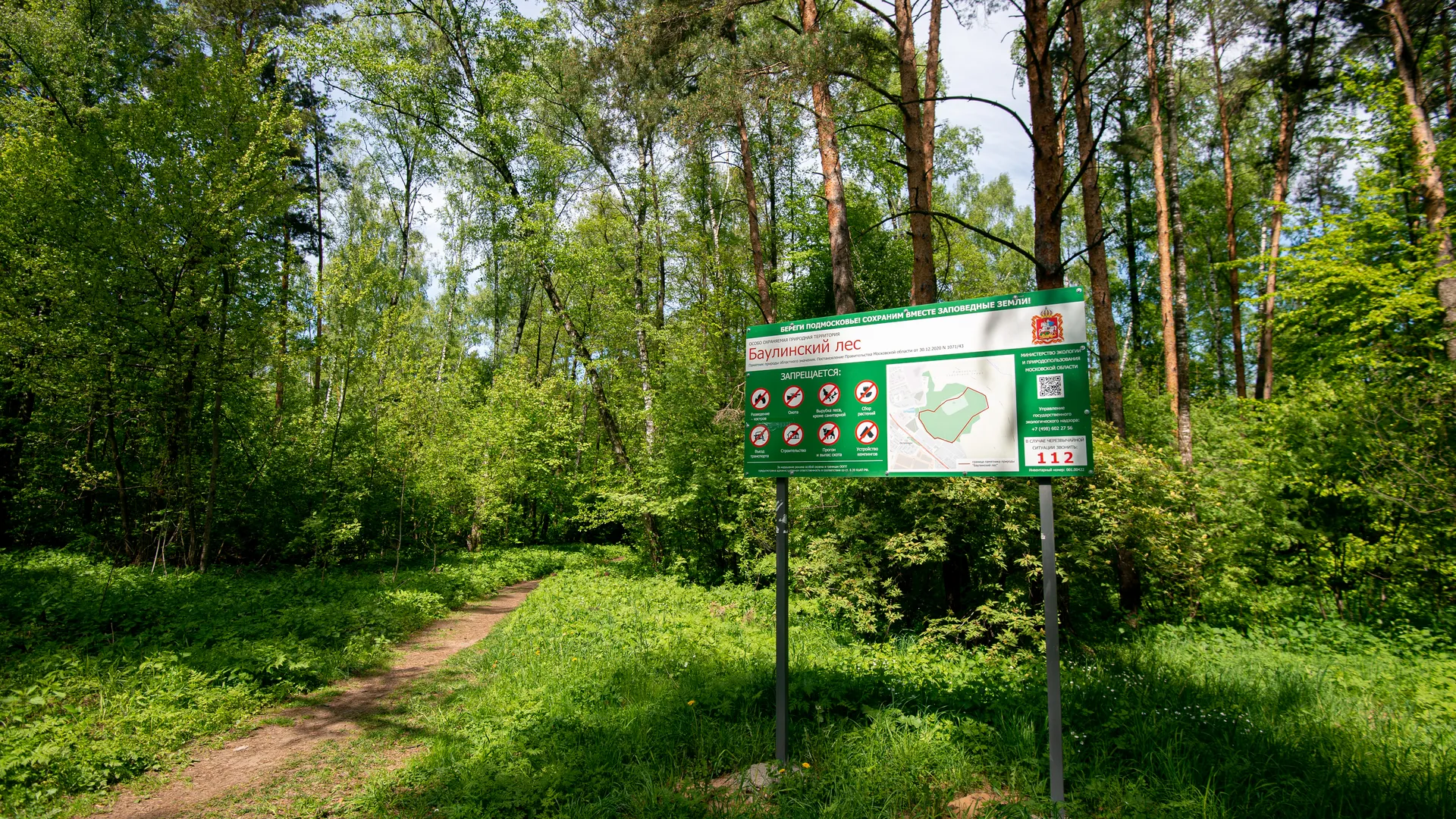 Весенний Баулинский лес