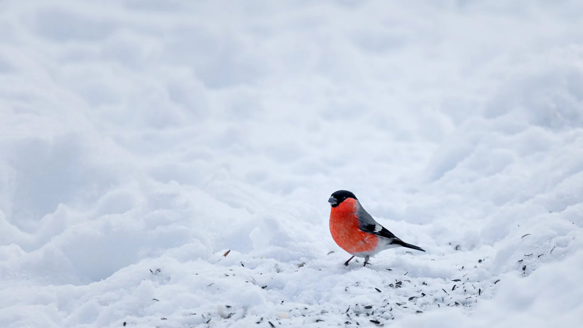 Медиасток.рф