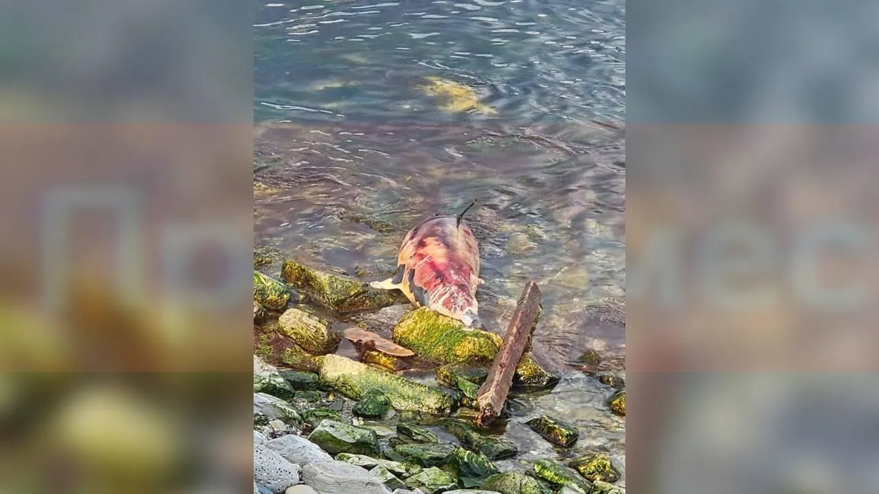 предоставлено собеседницей