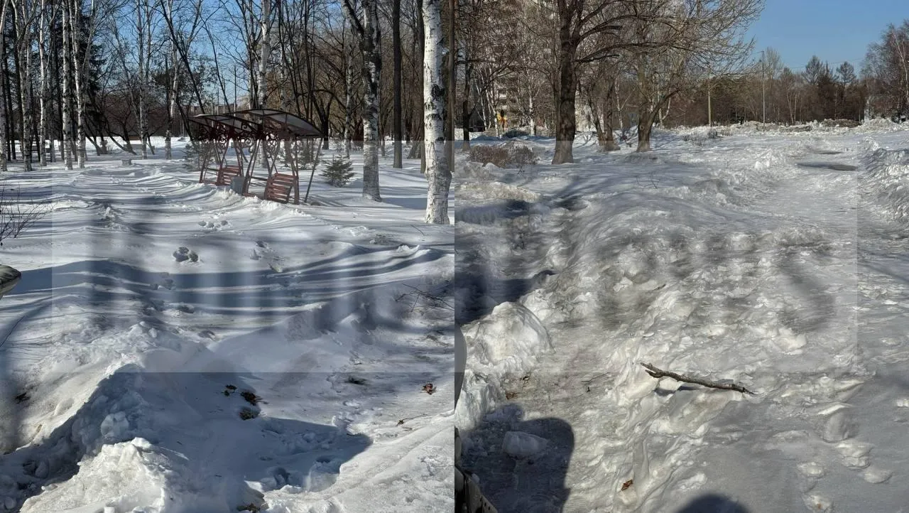 предоставлено собеседником