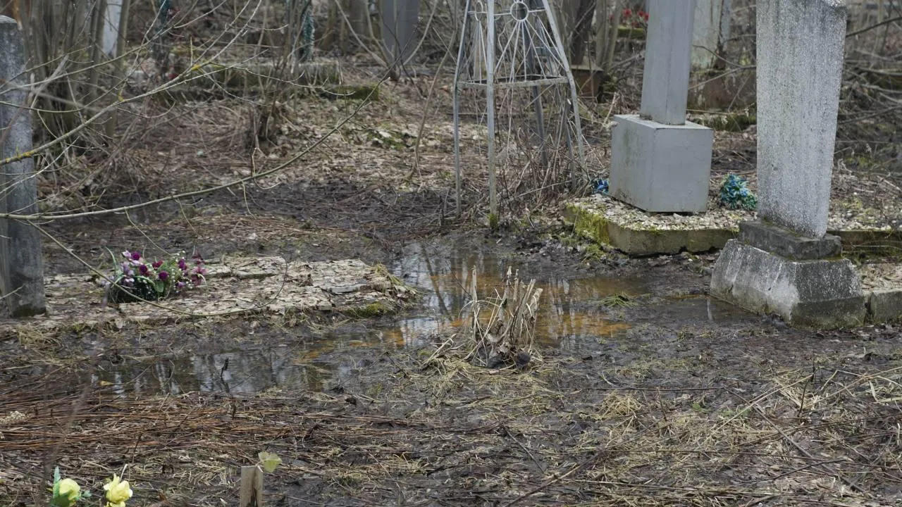 Самосыровское кладбище. «Челны Live» \ Екатерина Волкова