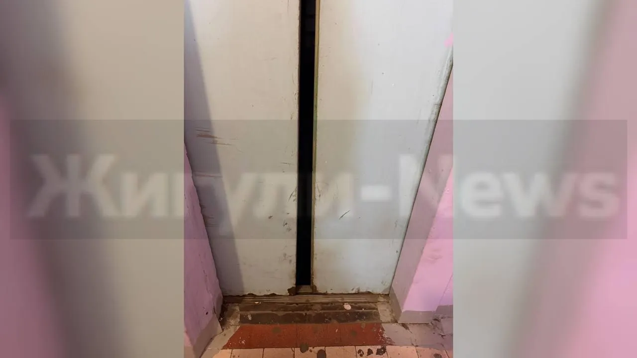 предоставлено собеседницей